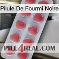 Black Ant Pill 18